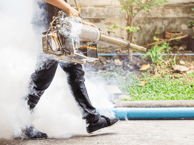 About Dwellhaven Control - pest control experts in Eugene